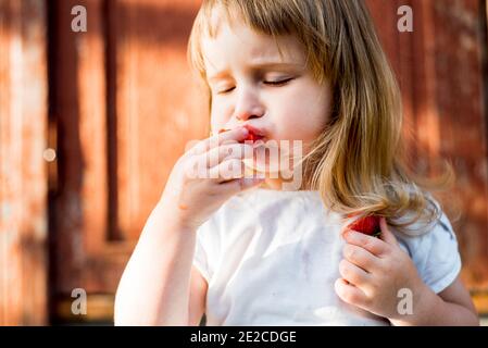 Kind mit Essen. Gesunde Ernährung.das Mädchen isst Erdbeeren im Sommer im Dorf. Urlaub Stockfoto