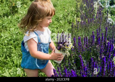 Baby Mädchen sammelt ein Bouquet von hausgemachtem Tee. Kamille, Minze und Zitronenmelisse. Natürliche Nahrung im Dorf Stockfoto