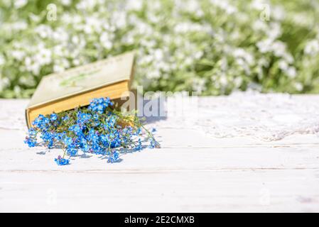 Offenes Vintage-Buch, blaue Vergissmeinnicht-Blumen auf Holztisch, gemütlicher Morgen im Dorf, sonniger Sommer, Ferien. Buch von Batanica Stockfoto