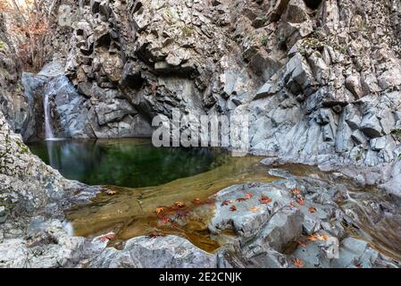 Wasserfall plätschert und fließt durch den Fluss mit Steinen auf dem Boden. Stockfoto