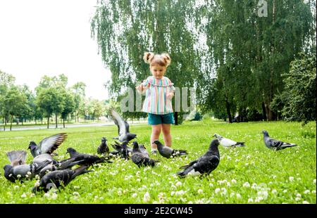 Kind füttert Tauben im Stadtpark Outdoor.Little Baby Mädchen läuft in der Nähe von Tauben. Jagen Tauben, glücklich lächelnd child.Hot sonnigen Sommer Stockfoto