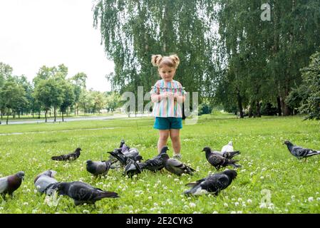 Ein kleines Mädchen läuft für Tauben.Baby Mädchen Jagd Tauben im Freien Stadtpark. Fröhlich glückliche Kindheit, läuft lachend und schreiend. Stockfoto