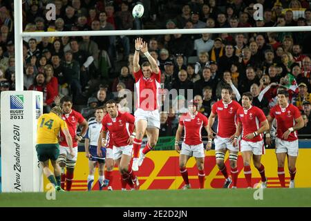 Australien besiegt Wales 21 bis 18 während des Rugby World Cup Bronzemedaillenspiels 2011 im Eden Park in Auckland, Neuseeland am 21. Oktober 2011. Foto von Lionel Hahn/ABACAPRESS.COM Stockfoto