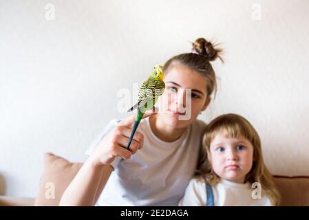 Lustige Kinder spielen mit einem Papagei. Zwei Mädchen und ein Teenager zu Hause auf dem Bett, das Kind kümmert sich um die Haustiere Stockfoto