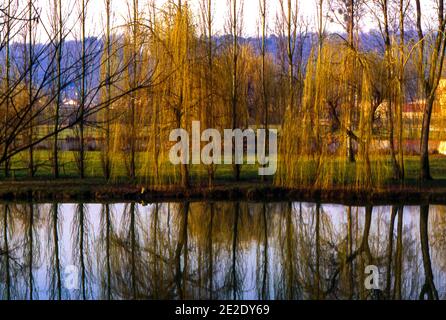 Loing River Reflections in Nemours, Ile-de-France, Frankreich Stockfoto