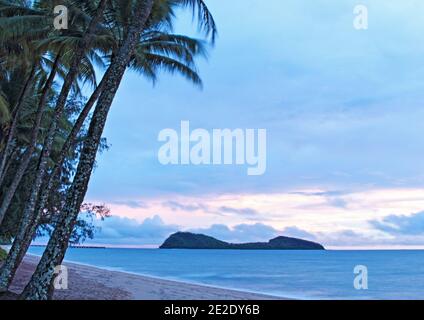 Eine grüne Jahreszeit am frühen Morgen fangen am Palm Cove Strand In Cairns QLD Australien Stockfoto