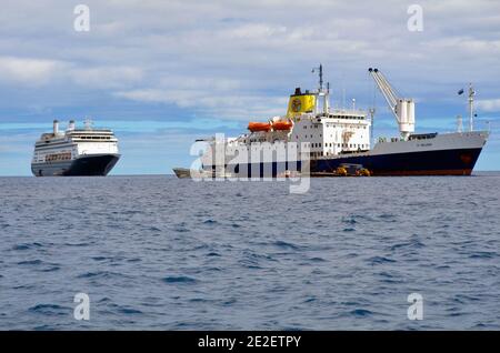 RMS St. Helena und HAL Kreuzfahrtschiff auf Anker aus Jamestown Stockfoto