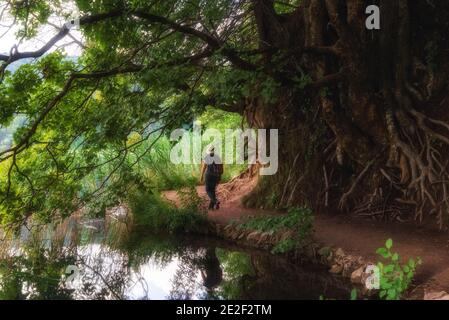 Wanderpfad für Frauen im Nationalpark Plitvicer Seen, UNESCO Stockfoto