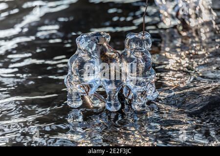 Zu Beginn des Winters bildet sich Eis auf der Vegetation über dem Fluss. Stockfoto