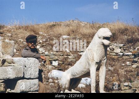 Fotograf: Joan Iaconetti Stockfoto