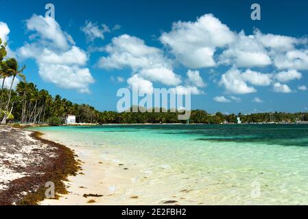 Der Strand von Caravelle, Guadeloupe - Frankreich Stockfoto