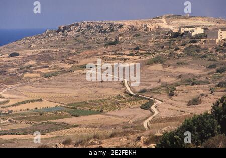 Fotograf: Joan Iaconetti Stockfoto