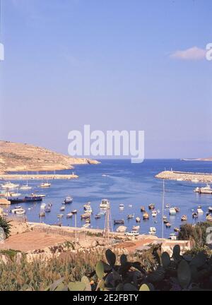 Fotograf: Joan Iaconetti Stockfoto