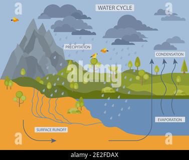 Wasserkreislauf. Geographie, Ökologie Infografik Design. Vektorgrafik Stock Vektor
