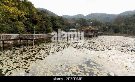 Panoramablick auf den Pavillon und einen Lotusteich in einem orientalischen Refugium, Lung Tsai Ng Garden, Lantau Island, Hong Kong Stockfoto