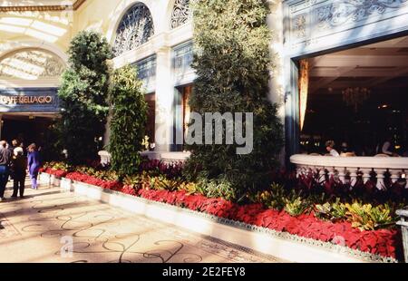 Fotograf: Joan Iaconetti Stockfoto