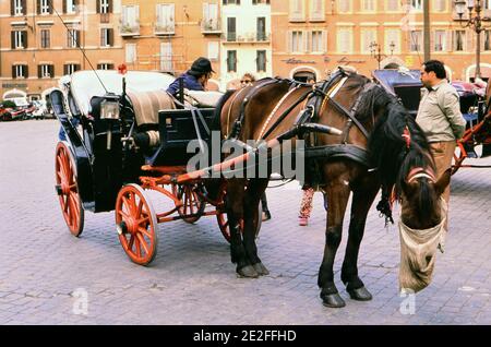 Fotograf: Joan Iaconetti Stockfoto