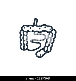 Vektorsymbol für Darmkontur. Dünne Linie schwarzen Darm Symbol, flachen Vektor einfache Element Illustration von editierbaren Gesundheit und medizinische Konzept Isolat Stock Vektor