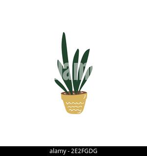 Sansevieria-Schild. Hausanlage. Blumen im Topf. Handgezeichnete Vektorgrafik Doodle Illustration Stock Vektor