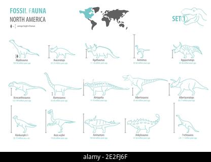 Fossile Fauna Nordamerikas. Ausgestorbene Dinosaurier Kreidezeit, Jurassische Zeit. Einfacher Linienentwurf Vektor-Symbolsatz Stock Vektor