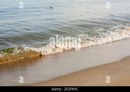 Schöne Meereswelle bricht die Schließung neben Sandstrand. Selektiver Fokus, Nebelansicht. Stockfoto