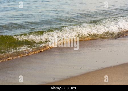 Meereswelle neben dem traurigen Strand aus der Nähe. Selektiver Fokus, Nebelansicht. Stockfoto