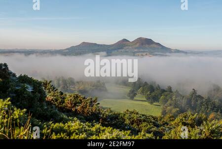 Ein Blick auf Scott's View, Eildon Hills, die sich über dem niedrig liegenden Nebel in der Nähe von Melrose in den schottischen Grenzen erheben. Der frühe Morgennebel bedeckte den unteren Stockfoto
