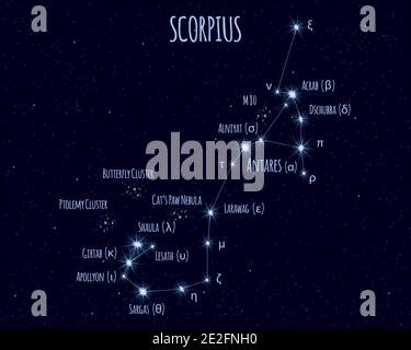 Scorpius (Skorpion) Sternbild, Vector Illustration mit den Namen der Stars gegen den Sternenhimmel Stock Vektor