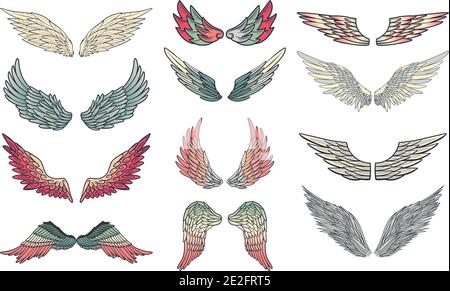 Engel oder Vogel Flügel abstrakte Skizze auf weiß isoliert gesetzt. vektor Doodle Illustration Stock Vektor
