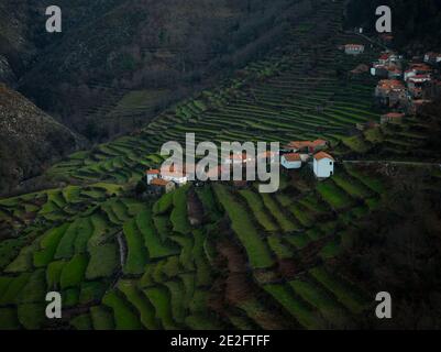 Luftpanorama der grünen Landwirtschaft Landwirtschaft Terrassen traditionelle alte abgelegene ländliche Landschaft Berg Hügel Hänge Dorf Stadt Padrao Porta Cova, Ar Stockfoto