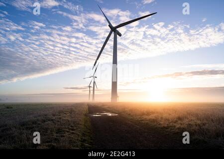 Drei kommerzielle Windturbinen im dichten Nebel bei Sonnenaufgang in Die englische Landschaft wirft lange Schatten Stockfoto