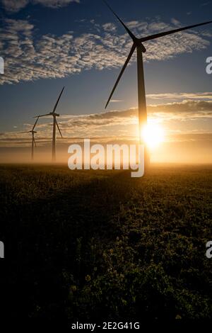 Drei kommerzielle Windturbinen im dichten Nebel bei Sonnenaufgang in Die englische Landschaft wirft lange Schatten Stockfoto