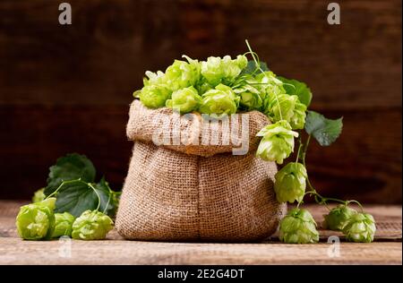 Frischer grüner Hopfen im Sack auf Holztisch Stockfoto