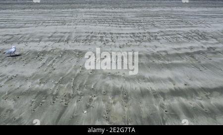 Der Strand von Lyall Bay, Wellington, NZ Stockfoto