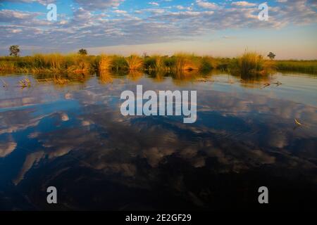 Fahren im Okavango Delta in der Überflutsaison... Stockfoto