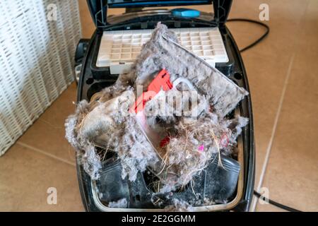 Explodierter staubbeutel des staubsaugers, der viel Schmutz erzeugt. Stockfoto