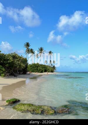 Guadeloupe: Strand Bois Jolan in Sainte-Anne Stockfoto