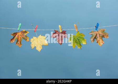 Bunte Herbstblätter hängen an Wäscheleine Stockfoto