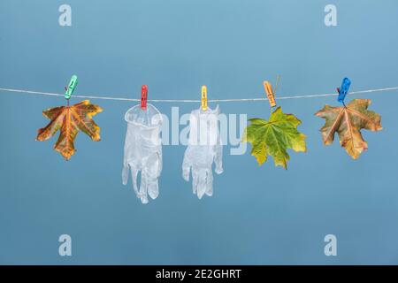 Schutzhandschuhe hängen an Wäscheleine mit Herbstblättern Stockfoto