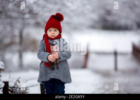 Schöne Kleinkind Kind, niedlichen Jungen, spielen in verschneiten Park Winterzeit, bewölkten Tag Stockfoto