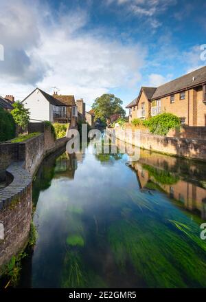 Der Blick auf den Fluss Stour in Canterbury, Kent. Stockfoto