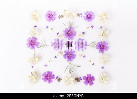 Zusammensetzung der Blumen. Lila und weiß zarte Blumen, Ornament in Form eines quadratischen, festliche Gruß romantische Karte. Flach liegend, Draufsicht Stockfoto