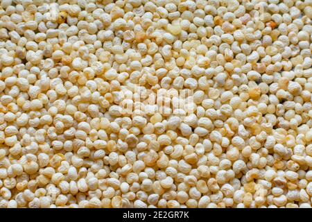 Nahaufnahme von Mohn Samen für Hintergrund Stockfoto