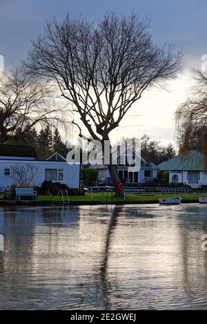 Das Flussufer und die Themse in Shepperton an einem kalten bewölkten Wintertag, Surrey England Großbritannien Stockfoto