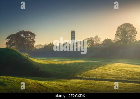 Lucca mittelalterliche Stadtmauern und Bäume. Nebliger Sonnenaufgang im Herbst. Toskana, Italien, Europa. Stockfoto