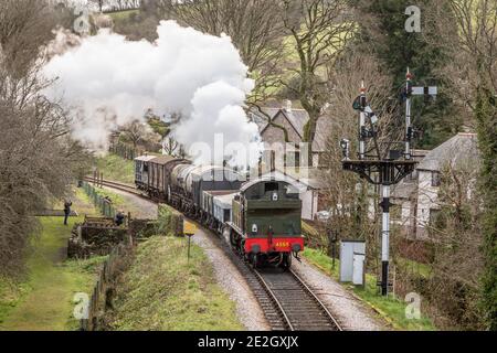 Die GWR '4500' der Klasse 2-6-2T Nr. 4555 kommt in Buckfastleigh auf der South Devon Railway an Stockfoto