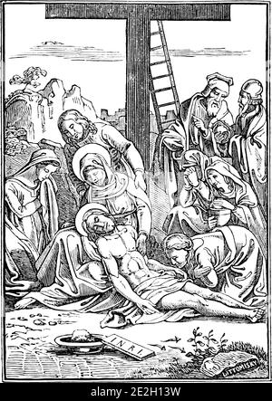 13. Oder 13. Station des Kreuzes oder Kreuzweg oder Via Crucis. Jesus wird von der Cross.Bible, New Testament.Antique Vintage biblischen religiösen Gravur oder Zeichnung genommen. Stock Vektor