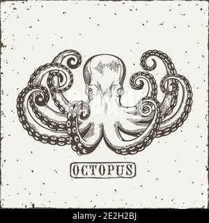Octopus Gravur. Vintage schwarze Gravur Illustration. Karte im Retro-Stil. Isoliert auf weißem Hintergrund. Vektorgrafik Stock Vektor