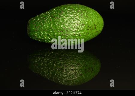 Eine ganze grüne frische Ernährung reife leckere Avocado, auf schwarzem Hintergrund. Stockfoto