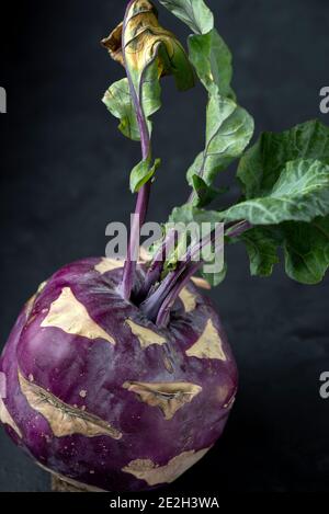 Ein lila Kohlrabi auf schwarzem Hintergrund Stillleben Dunkel Food-Fotografie Stockfoto